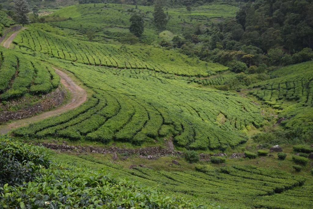 Ferndale Homestay Thekkady Exterior photo