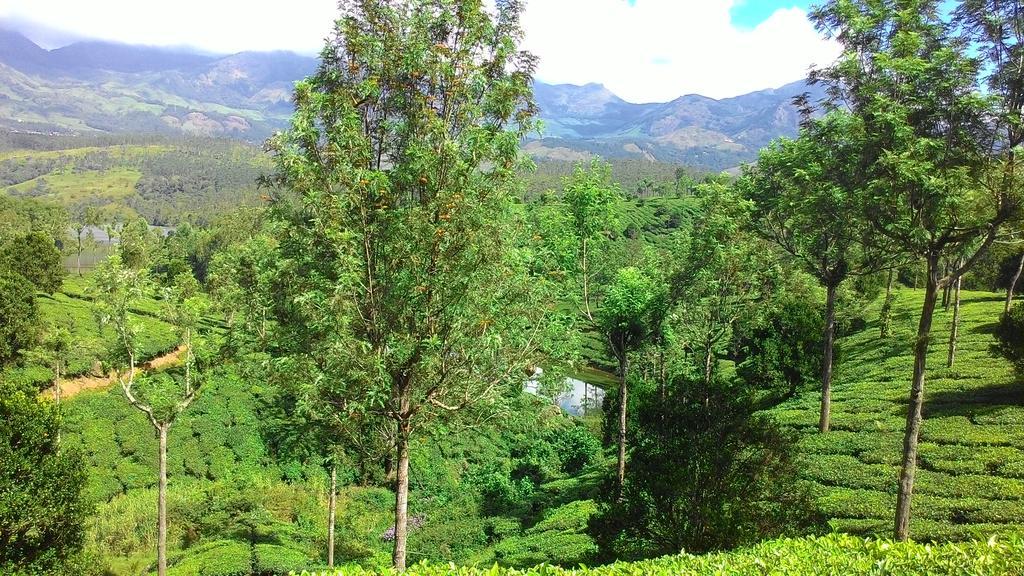 Ferndale Homestay Thekkady Exterior photo