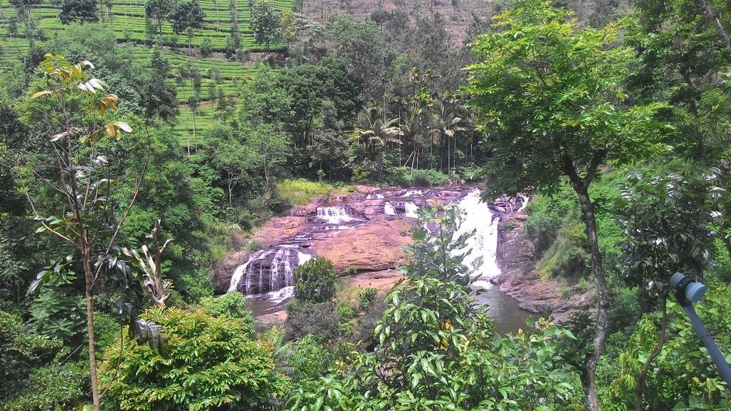 Ferndale Homestay Thekkady Exterior photo